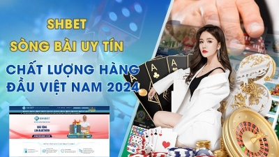 Shbet - nhà cái cá cược uy tín, an toàn, ưu đãi tới 1 triệu đồng cho bet thủ